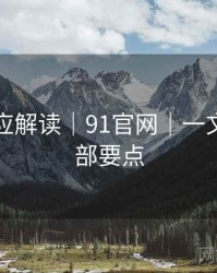 官方回应解读｜91官网｜一文掌握全部要点