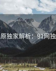 数据还原独家解析：91网独家首发