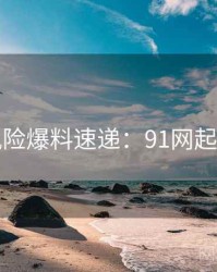 安全风险爆料速递：91网起底真相