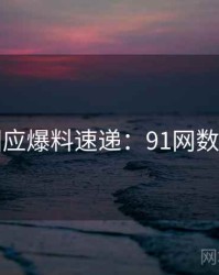 官方回应爆料速递：91网数据盘点