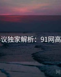 网络热议独家解析：91网高清资源