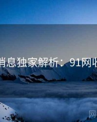 一线消息独家解析：91网收藏级