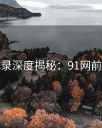 全景记录深度揭秘：91网前因后果