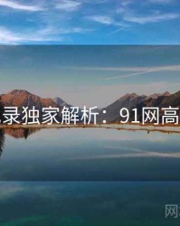 全景记录独家解析：91网高清资源