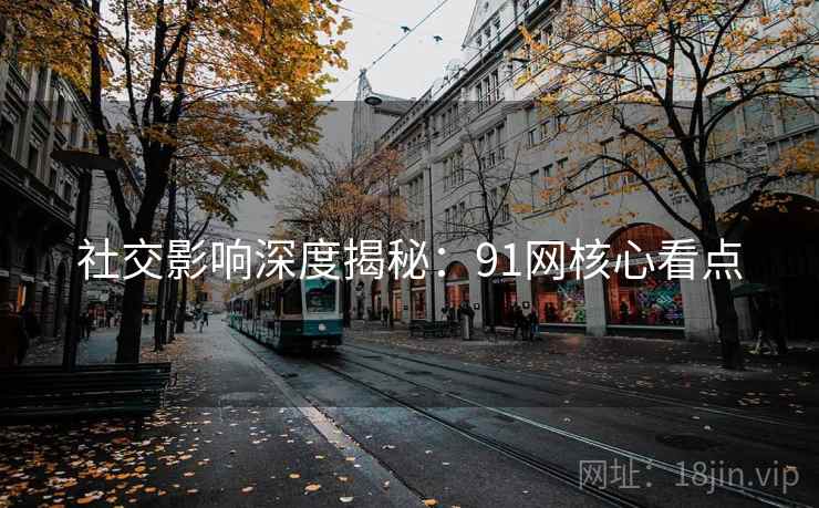 社交影响深度揭秘：91网核心看点