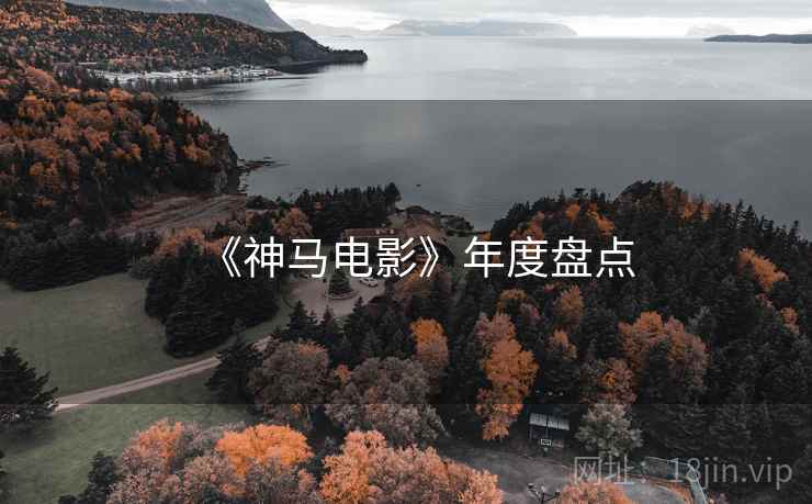 《神马电影》年度盘点